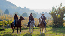 Italy-Veneto-Historic Veneto Ride